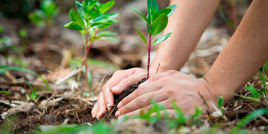 Capacitación Ambiental